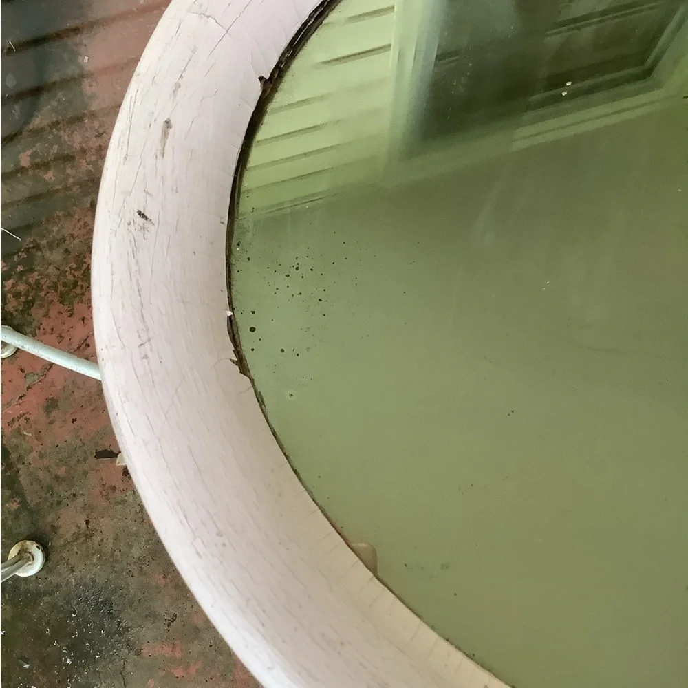 Antique Vintage Cottagecore Blush Pink Oval Wood Mirror